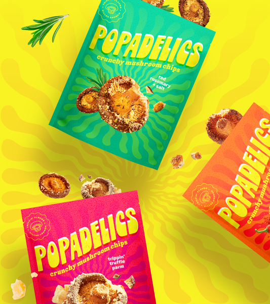 Popadelics Crunchy Mushroom Chips Variety Pack 6 Pack All Flavors