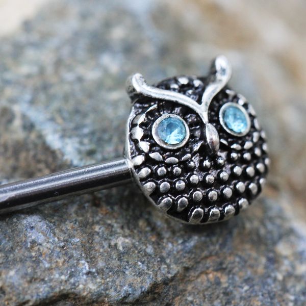 316L Stainless Steel Blue Eyed Owl Nipple Bar