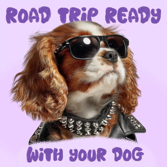 Hit the Open Road: How to Prepare Your Dog for the Ultimate Road Trip