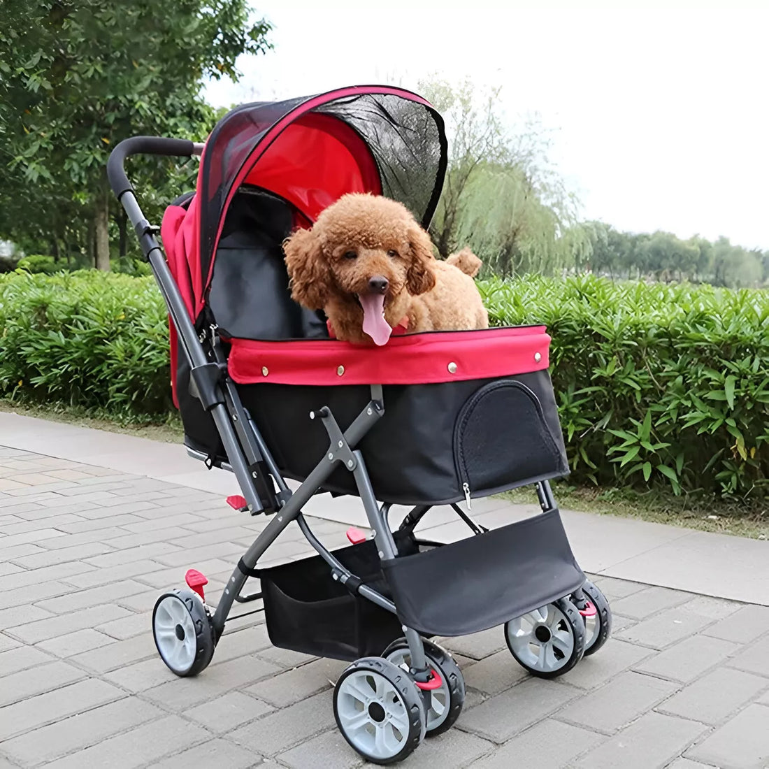 Why Every Pet Parent Needs a Foldable Stroller for Medium & Large Pets