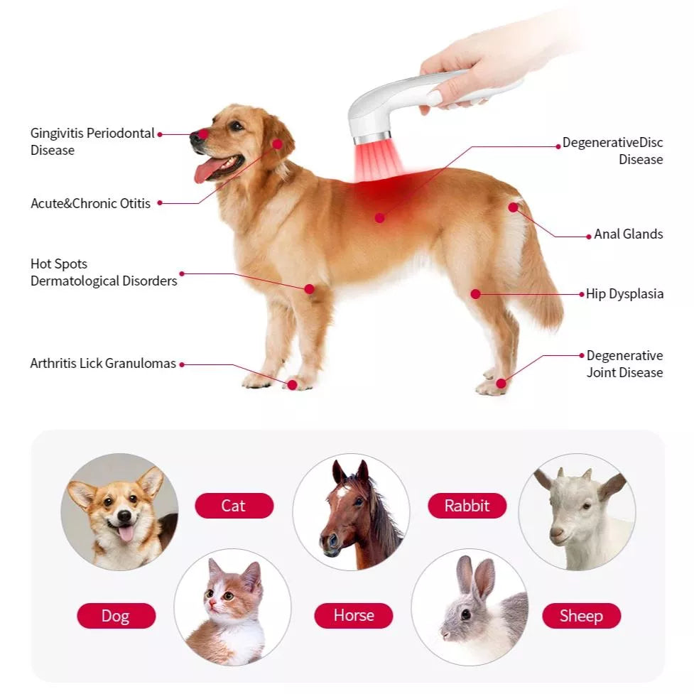 Handheld Cold Laser Therapy Device for Pain Relief with LED Display