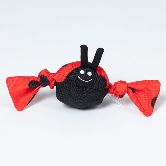 Jolly Pets Jolly Tug & trade; Insect Medium Dog Toy