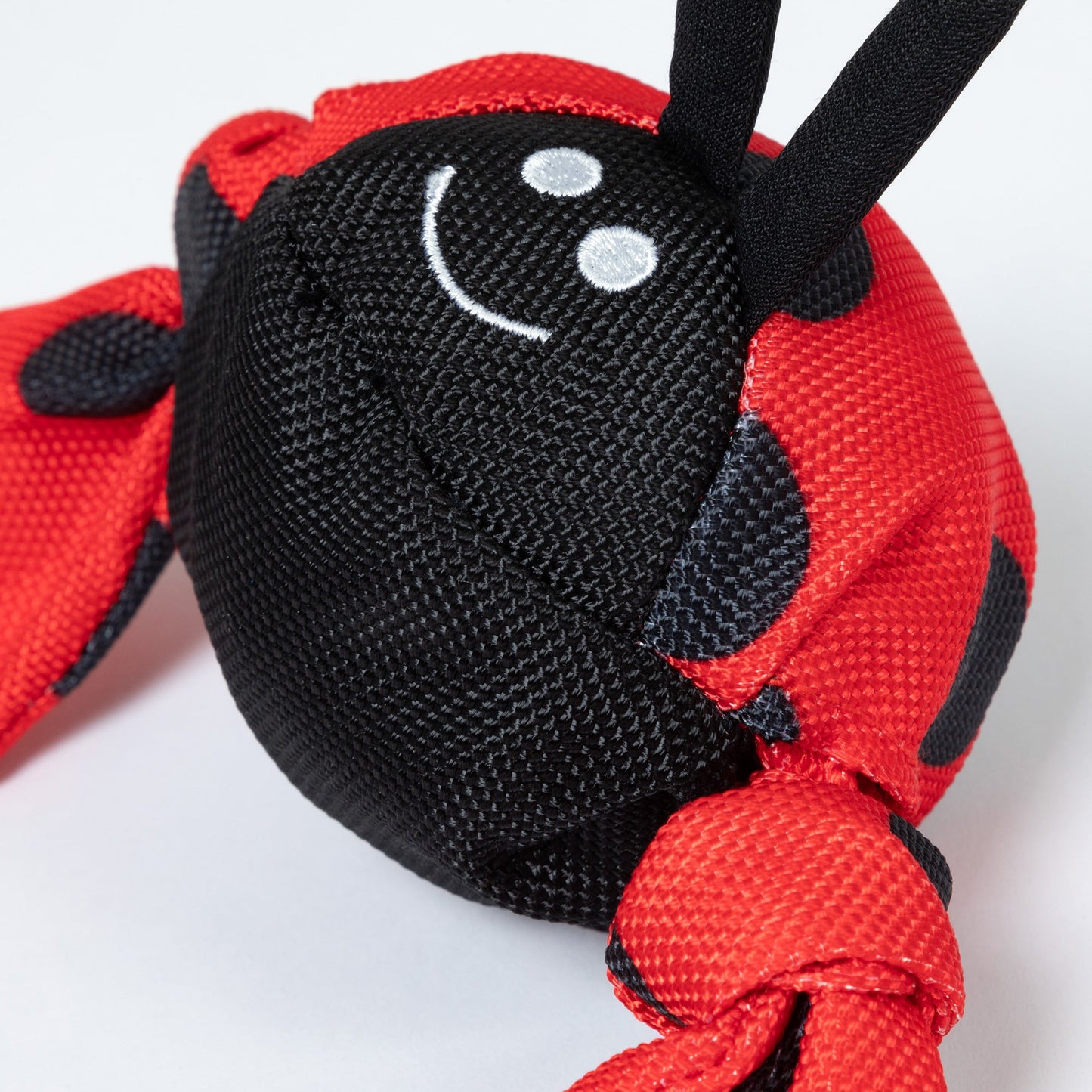 Jolly Pets Jolly Tug & trade; Insect Medium Dog Toy