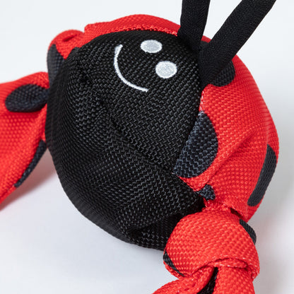 Jolly Pets Jolly Tug & trade; Insect Medium Dog Toy