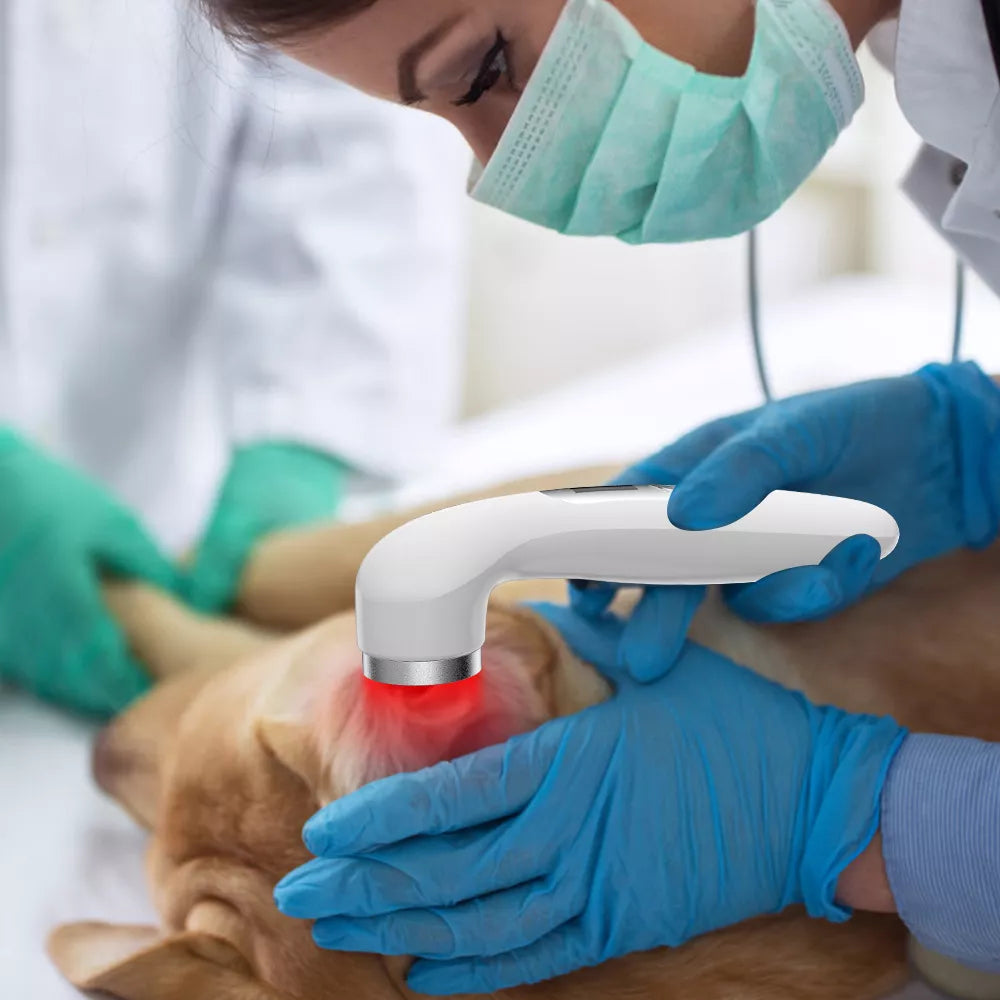 Handheld Cold Laser Therapy Device for Pain Relief with LED Display