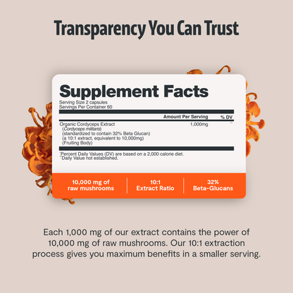 Organic Cordyceps Mushroom Supplement Capsules