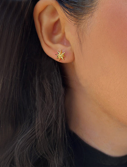 SPARKLE Star Stud Earrings