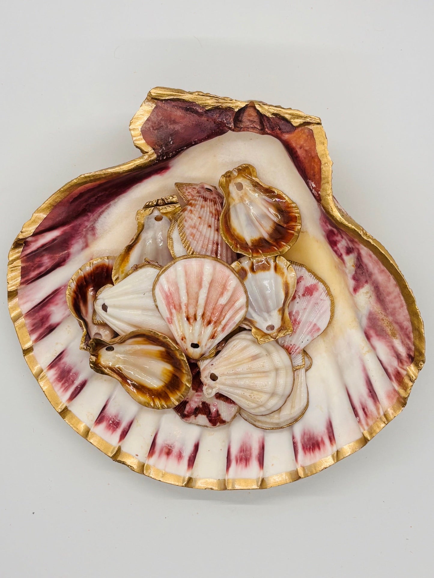 Lion's Paw Trinket Dish