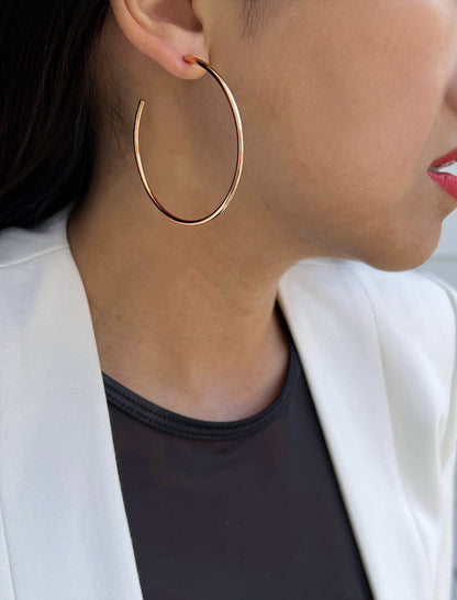 PERFECT Hoop Earrings