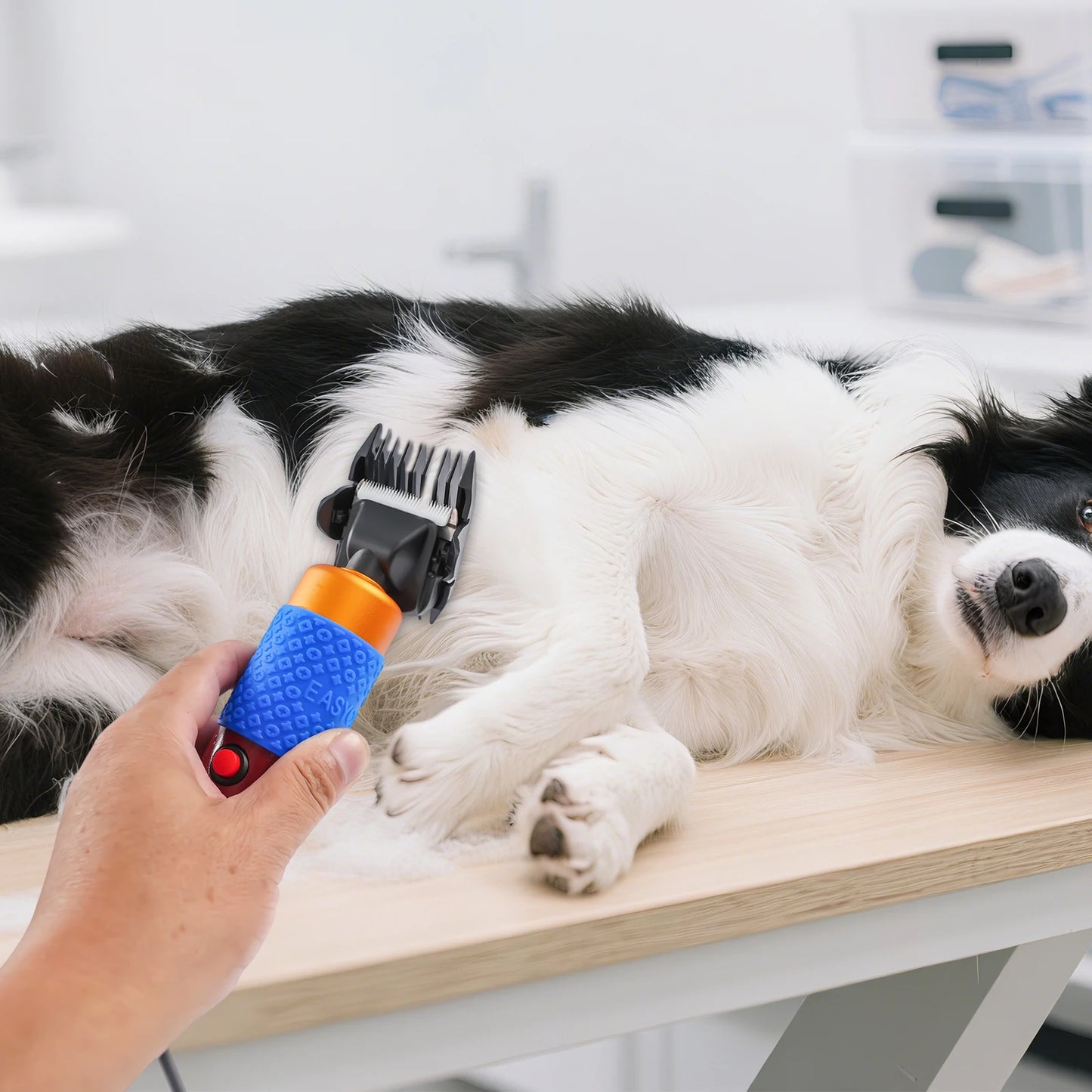 36W Electric Animal Shearing Clipper | Sheep, Goat, Dog & Pet Grooming | Origin Zero
