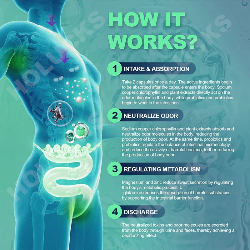 Natural Chlorophyll Capsules Supplement, Internal Detox Cleanse, Body Deodorant, Promote Digestive & Skin Wellness
