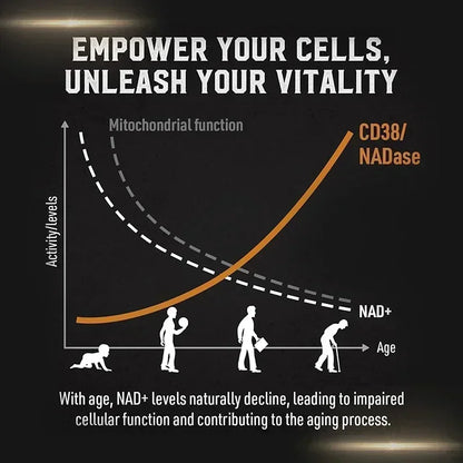 Liposomal NAD+ Supplement 1800mg – Energy, Cellular Repair, Anti-Aging & Immune Support – 98% Pure, Non-GMO