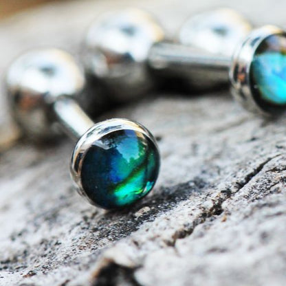 316L Stainless Steel Cartilage Earring with Abalone Shell